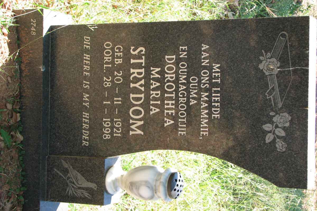 STRYDOM  Dorothea Maria 1921-1998
