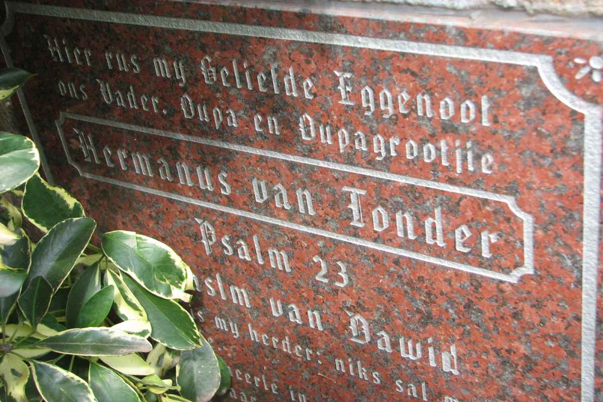 TONDER Hermanus, van