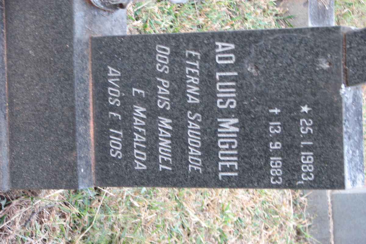 ? Ao Luis Miguel 1983-1983