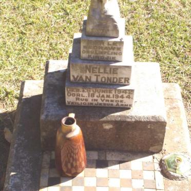 T - Vanne :: Surnames - T