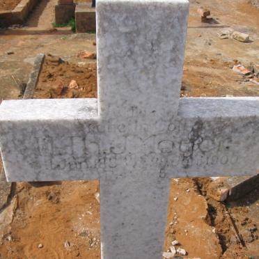 MEYER ? Th. J. 1883-1900