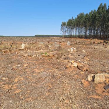 1. Overview / Oorsig