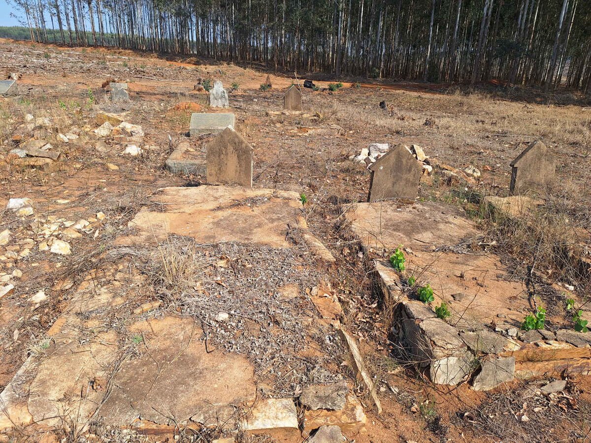 3. Overview / Oorsig