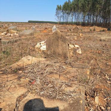 2. Overview / Oorsig