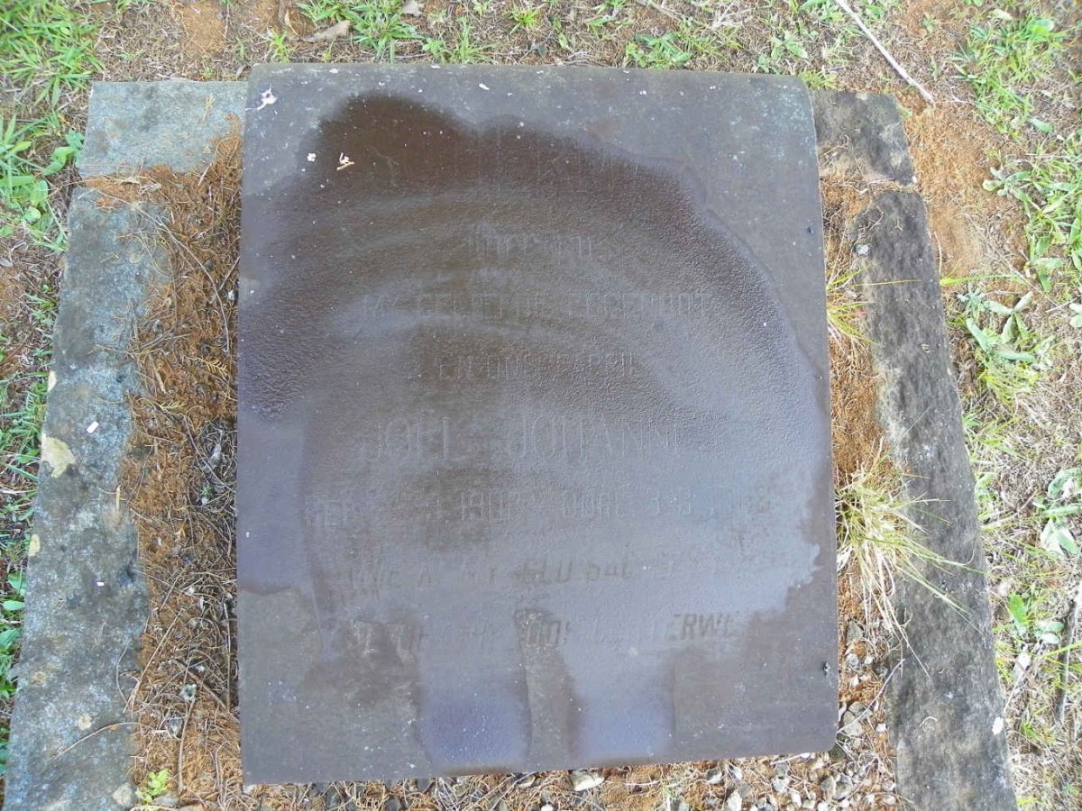 SCHERMAN Joel Johannes 1902-1963