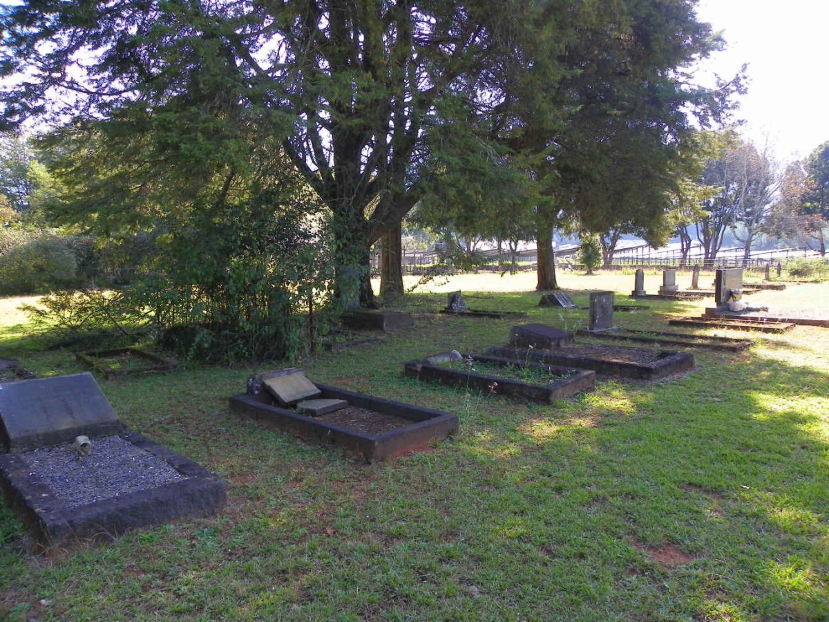 2. Overview / Oorsig