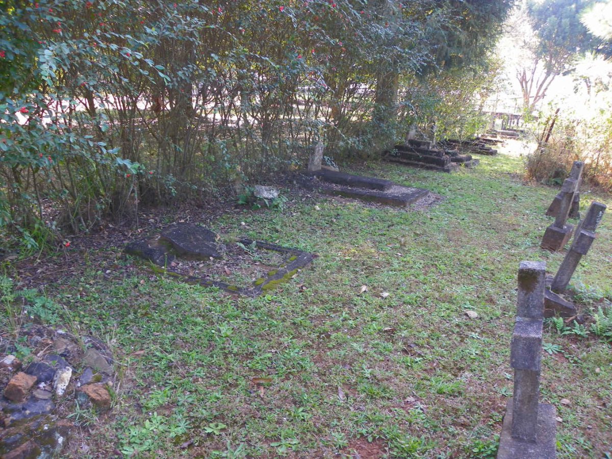 4. Overview / Oorsig van kindergrafte