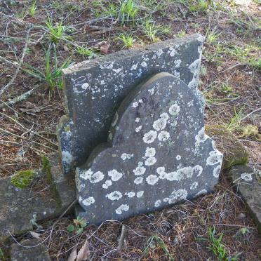 APPELGRYN Hester Petronella nee VAN ROOYEN 1916-1940