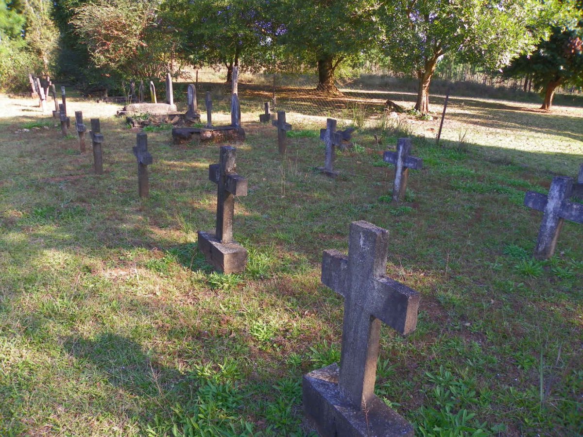 3. Overview / Oorsig van ongemerkte grafte