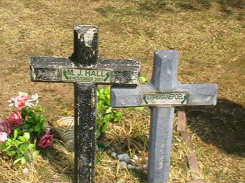 HALL M.J. -2003 :: SWANEPOEL S.W.