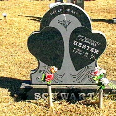 SCHWARTZ Hester 1963-2008