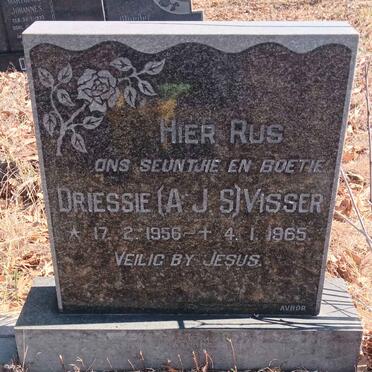 VISSER A.J.S. 1956-1965