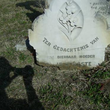 BESTER Elsje ? Hester -1901 