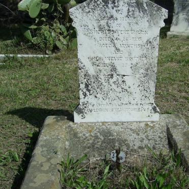 GIBSON Sherlie Vere  -1895 :: GIBSON infant boy -1895