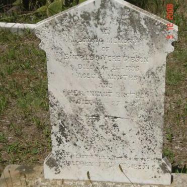 GIBSON Sherley Vere -1895