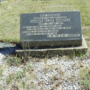 LINDEQUE Sannie -1947 :: LINDEQUE Elsie -1947 :: LINDEQUE Andries -1947