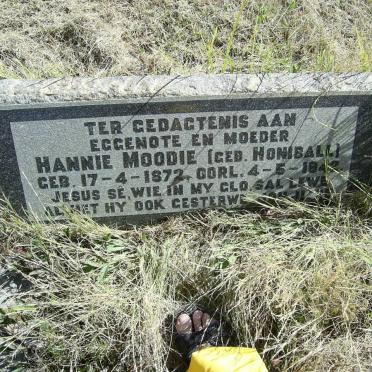 MOODIE Hannie nee HONIBALL 1872-1942