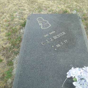 BESTER C.J.J. 1977-1977