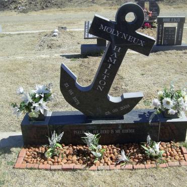 MOLYNEUX Hamilton 1975-2003