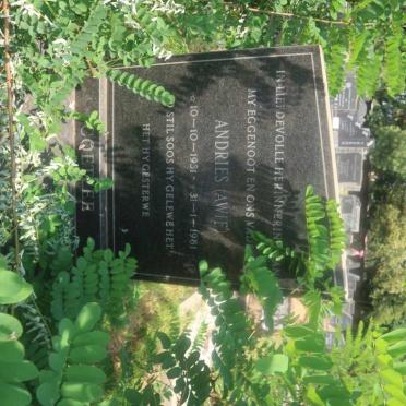 COETZEE Andries 1931-1981