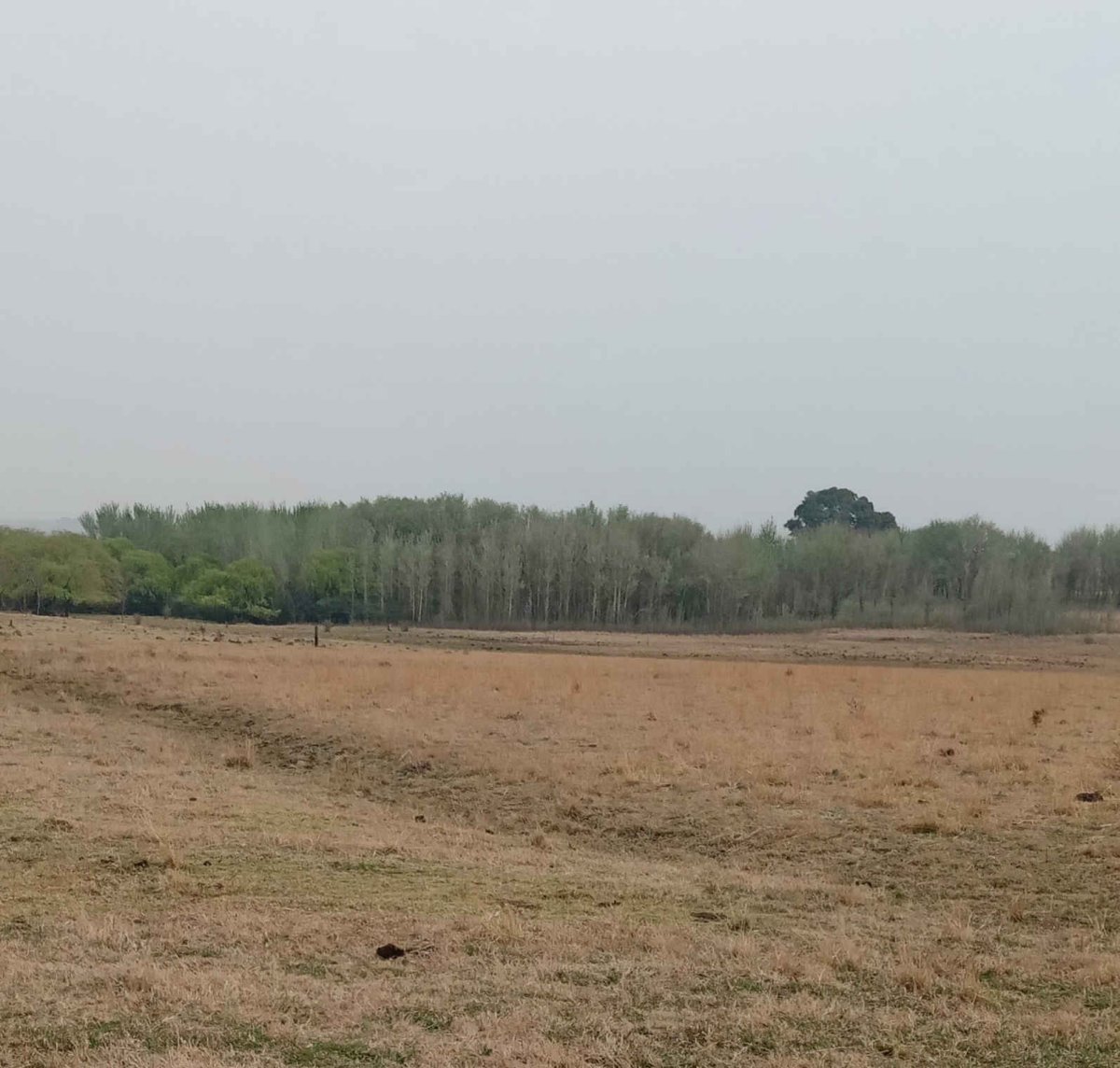 1. Oorsig / Overview