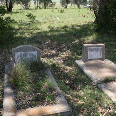 1. Oorsig oor GREYLING grafte