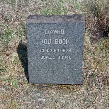 Dawid 1879-1941