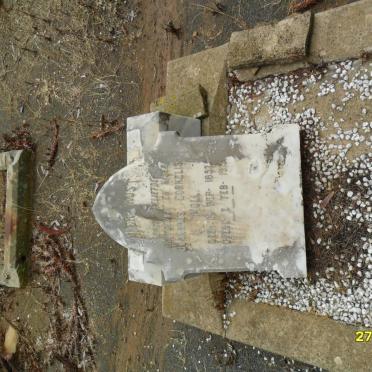 MOLL Johannes Cornelis 1852-1913