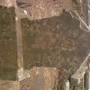 NEL Cornelius 1877-1920