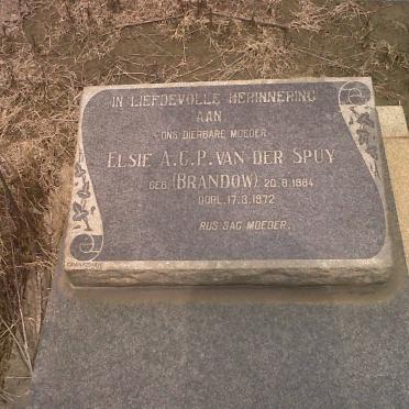 SPUY Elsie A.G.P., van der nee BRANDOW 1884-1972