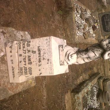 STOOP Albertus Abraham 1931-1931