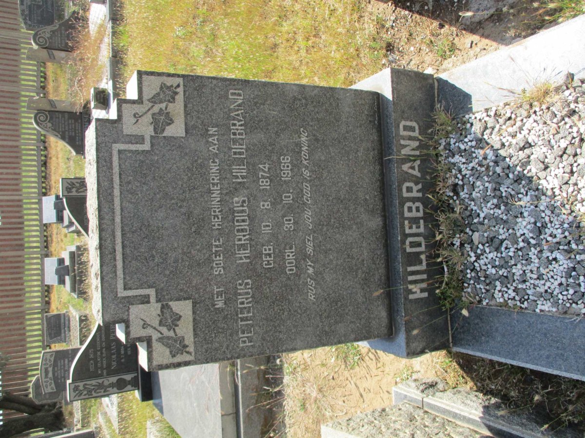 HILDEBRAND Peterus Herodus 1874-1966