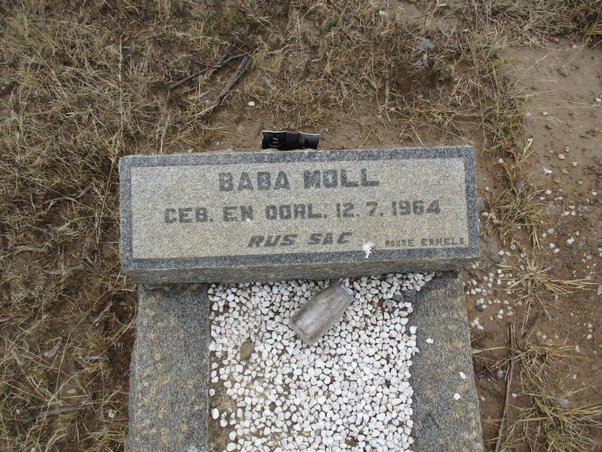 MOLL 1964-1964