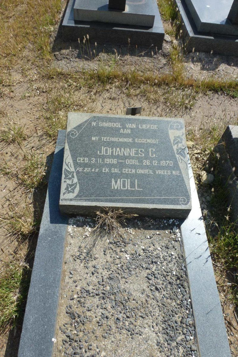 MOLL Johannes C. 1906-1970