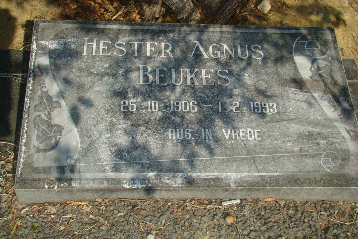 BEUKES Hester Agnus 1906-1993