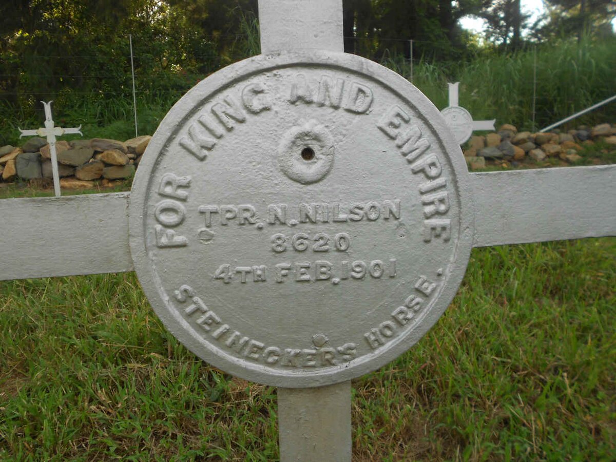 NILSON N. -1901