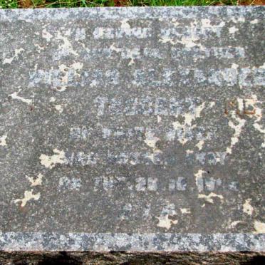 TAGGART William Alexander -1954