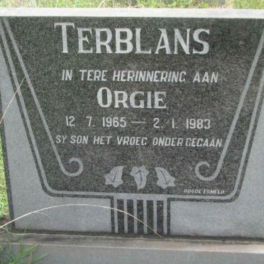 TERBLANS Orgie 1965-1983