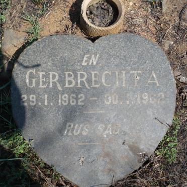 HATTINGH Johannes H.P. 1954-1954 :: HATTINGH Gerbrechta 1962-1962