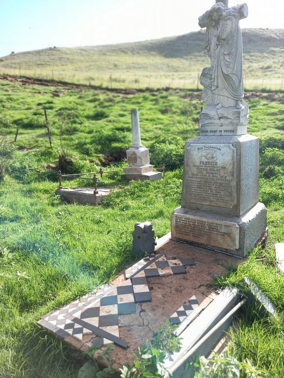 1. Oorsig / Overview