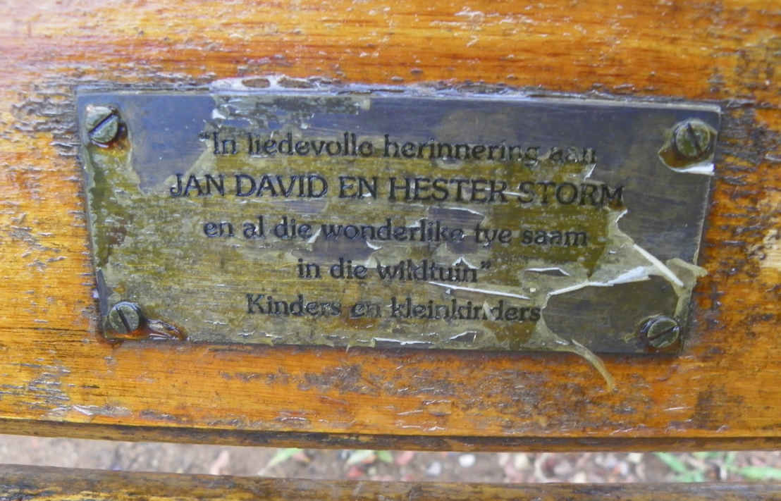 STORM Jan David &amp; Hester