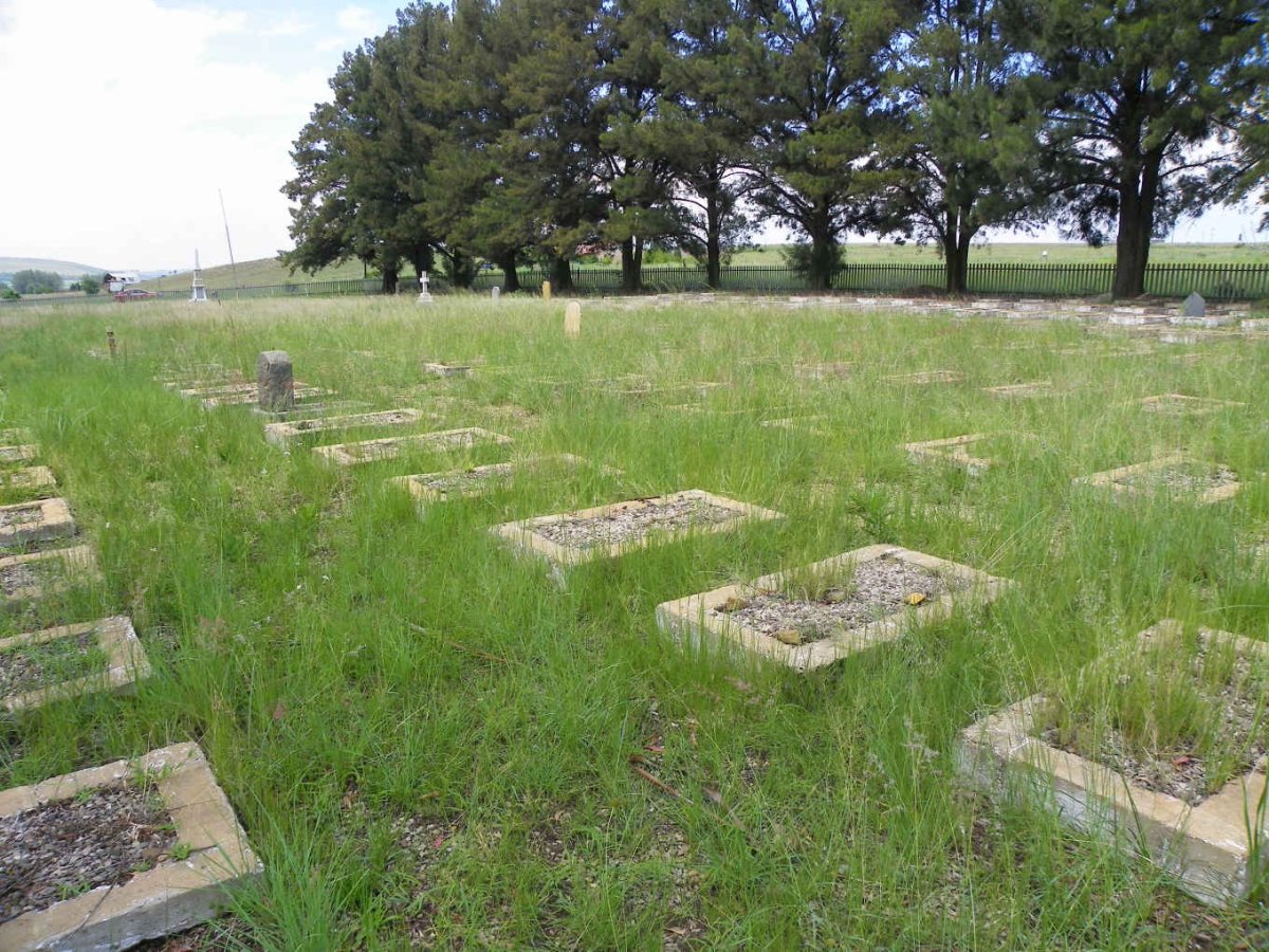 5. Overview / Oorsig