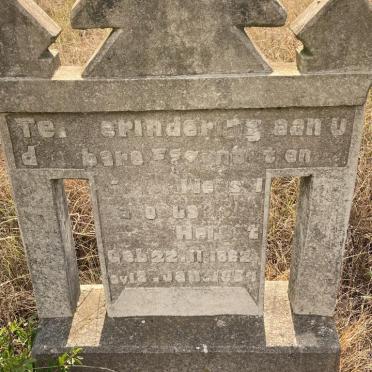 Mpumalanga, AMERSFOORT district, Knelpoort 368, farm cemetery