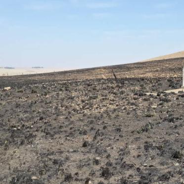 1. Oorsig / Overview