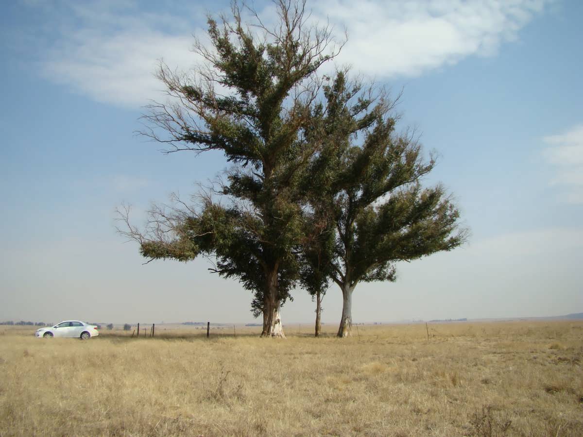 2. Overview / Oorsig