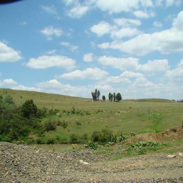 2. Overview / Oorsig