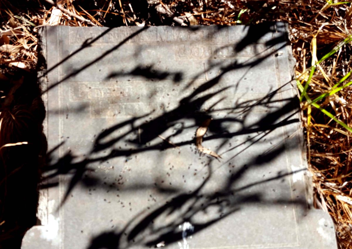 JOUBERT Aletta Maria