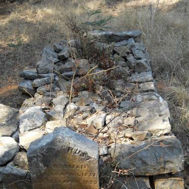 BOSMAN J.H. 1851-1893 &amp; Marta M.