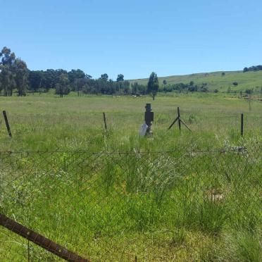 1. Overview / Oorsig