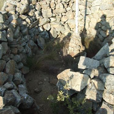 6. Engelse fort op koppie